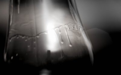 Spirits In The Sky – Stands 2022